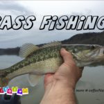 Bass Fishing Tips Articles Videos Posts Images