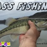Bass Fishing Twitter
