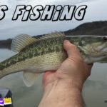Bass Fishing Twitter