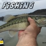 Bass Fishing Twitter 3