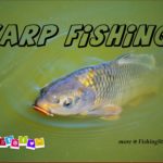 Awesome Carp Fishing Articles Posts Videos Tips and More