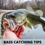 Bass Catching Tips