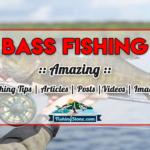 Bass Fishing – Bass Fishing Tips – Bass Fishing Articles – Bass Fishing Videos – Bass Fishing Posts – Bass Fishing Images