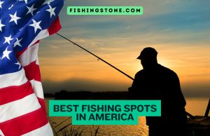 Best Fishing Spots in America To Catch Some Fish and Have Fun