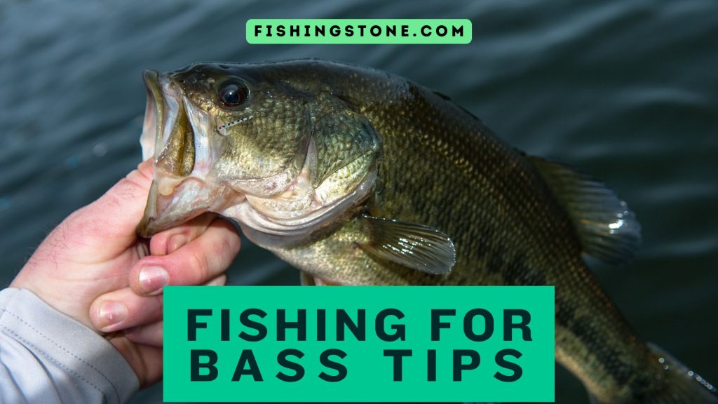 Fishing For Bass Tips to Catch Bass