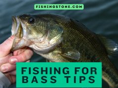 Fishing For Bass Tips to Catch Bass