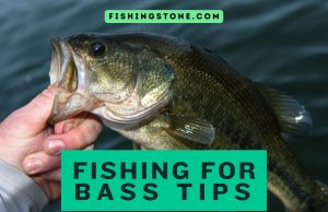 Fishing For Bass Tips to Catch Bass