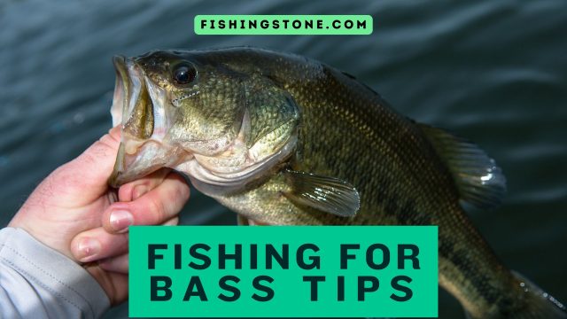 Fishing For Bass Tips to Catch Bass