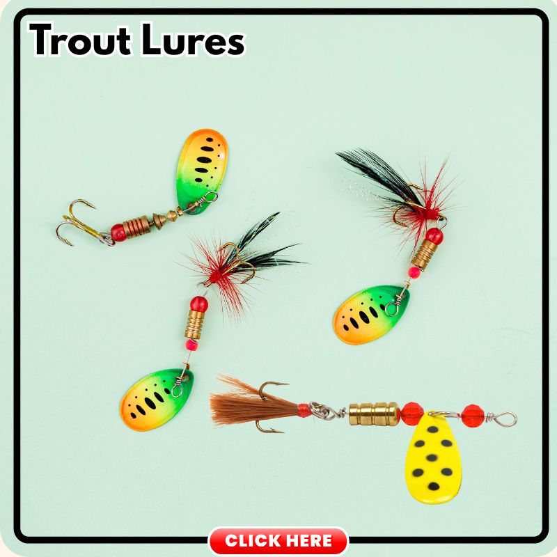 Fishing Stone Trout Lures