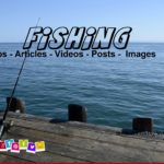 Fishing Tips Articles Videos Posts Images