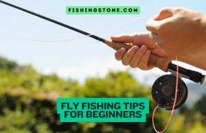 Fly Fishing Tips for Beginners