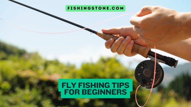 Fly Fishing Tips for Beginners