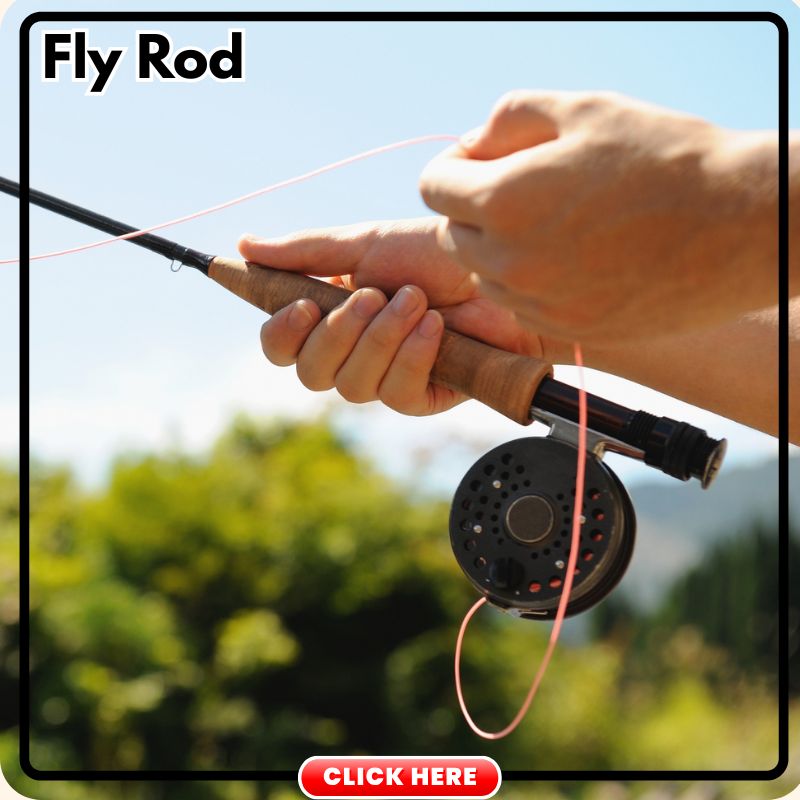Fly Rod Trout Fishing