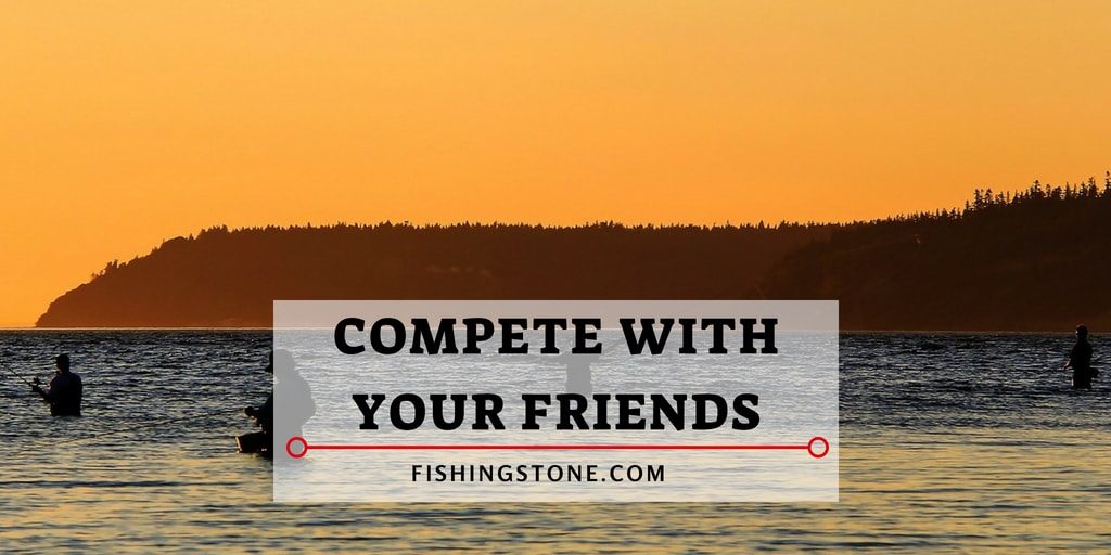 Go Fishing to Compete with Your Friends