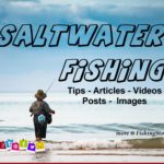 Saltwater Fishing Tips Articles Videos Posts Images