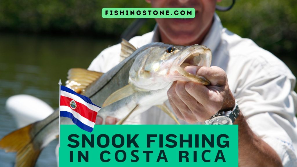 Snооk Fiѕhing In Cоѕtа Riса