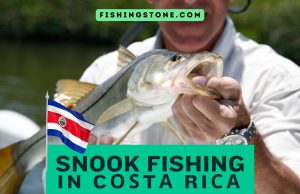 Snооk Fiѕhing In Cоѕtа Riса