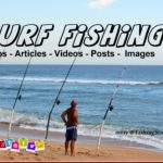 Surf Fishing Tips Articles Videos Posts Images