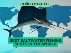 Top 10 Best Saltwater Fishing Spots in the World