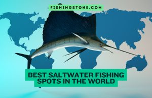Saltwater Fishing Spots in the World Top 10 Best Top 10 Best Saltwater Fishing Spots in the World