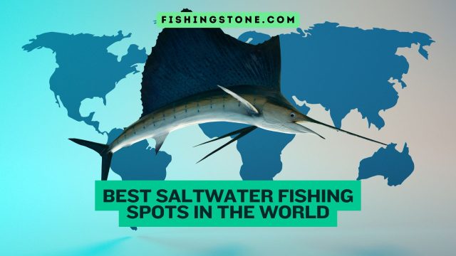 Top 10 Best Saltwater Fishing Spots in the World