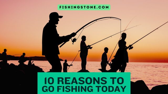 Top 10 Reasons To Go Fishing Today Top 10 Reasons To Go Fishing Today