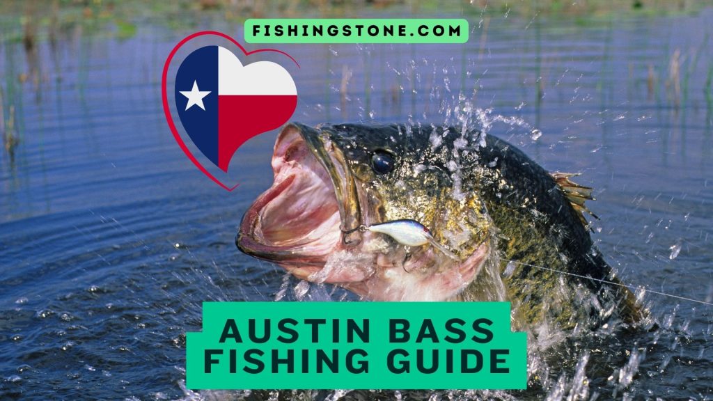 Top 4 Austin Bass Fishing Spots Guide