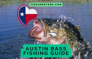 Top 4 Austin Bass Fishing Spots Guide