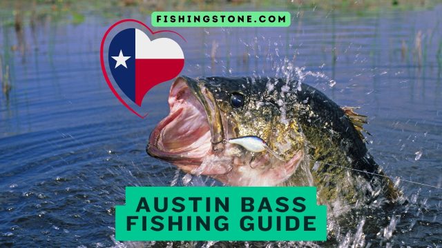 Top 4 Austin Bass Fishing Spots Guide