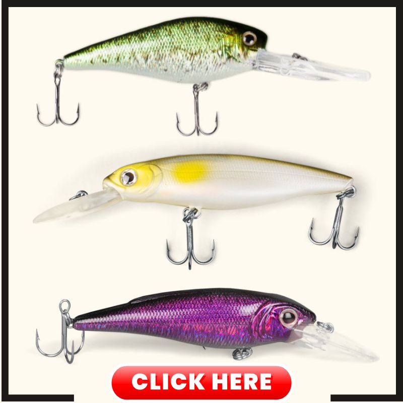 Topwater Fishing Lures Found in Amazon Fishing Stone