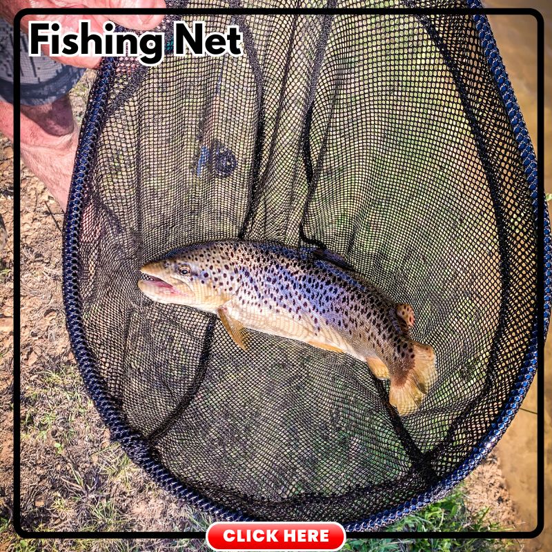 Trout Fishing Net