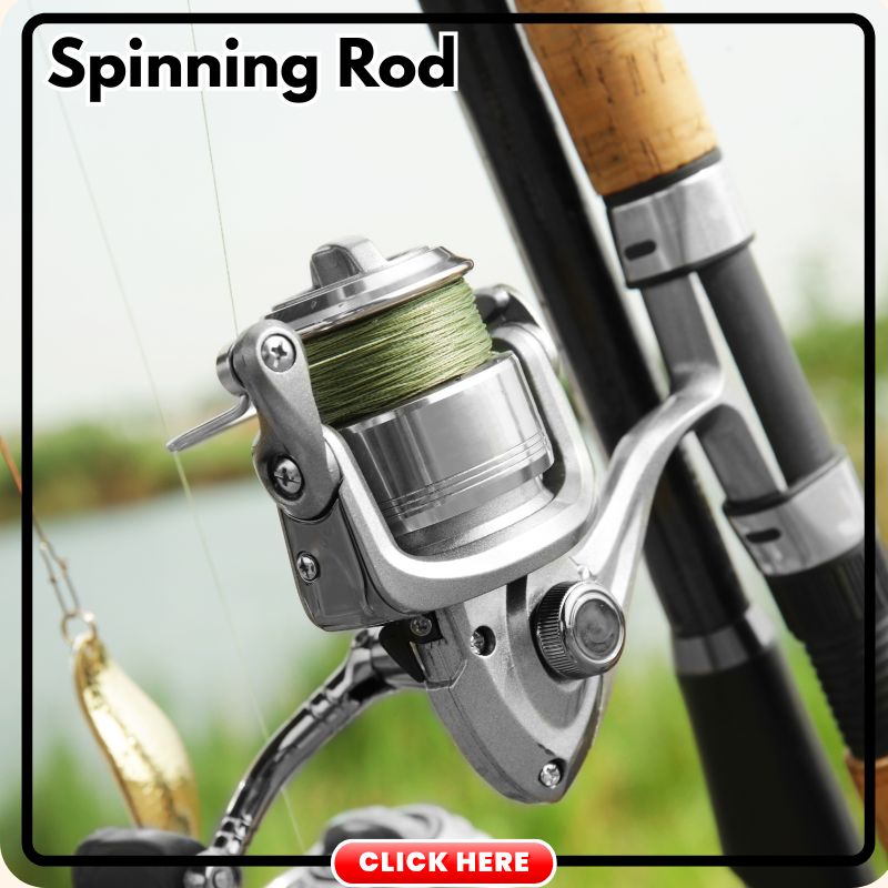 Trout Fishing Spinning Rod
