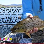Trout Fishing Tips Articles Videos Posts Images