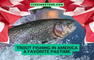 Trout Fishing in America A Favorite Pastime
