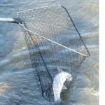Do Not Forget Your Fishing Net When Going Fishing 2