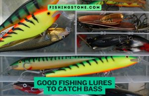 Good BASS Fishing Lure To Catch Bass Good BASS Fishing Lure To Catch Bass