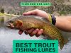 Best Trout Fishing Lures Guide for All Seasons and Water Bodies