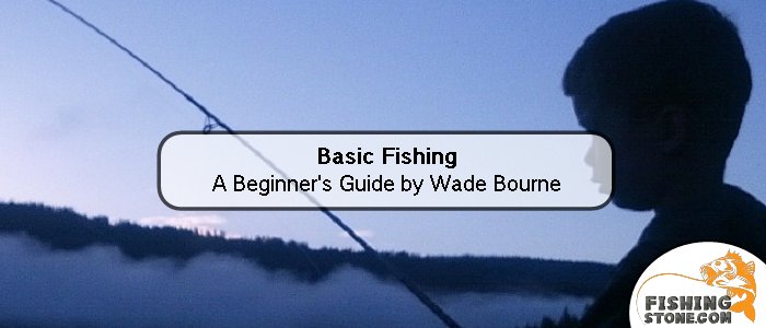 Bass Fishing A Guide to Mastering Freshwater Bass Fishing Techniques - Fishing Books to Read This Winter - Twitter