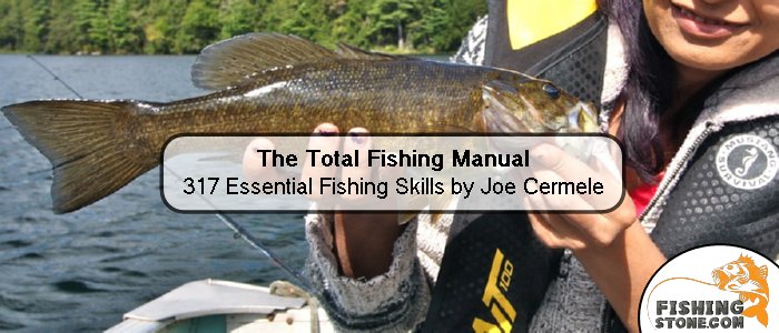 Bass Fishing A Guide to Mastering Freshwater Bass Fishing Techniques - Fishing Books to Read This Winter - Twitter
