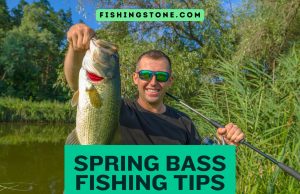 5 Spring Bass Fishing Tips Catch Bass like a Pro