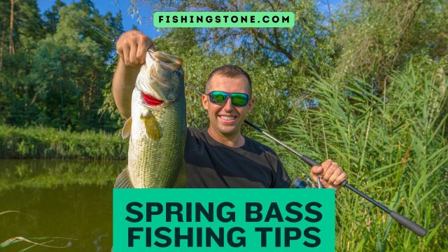 5 Spring Bass Fishing Tips Catch Bass like a Pro