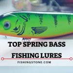 7 Best Spring Bass Fishing Lures to Catch Bass This Spring