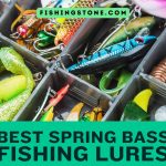 List of The Best Spring Bass Fishing Lures