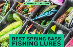 List of The Best Spring Bass Fishing Lures