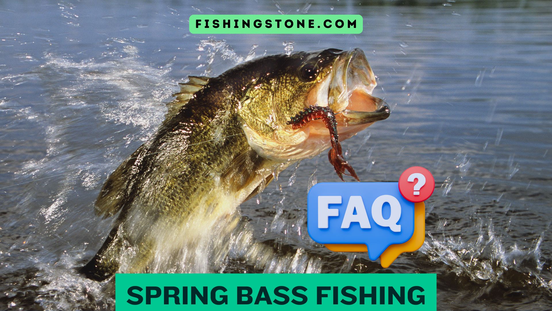Spring Fishing 5 Spring Bass Fishing Tips Catch Bass like a Pro - FishingStone