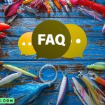 Frequently Asked Questions