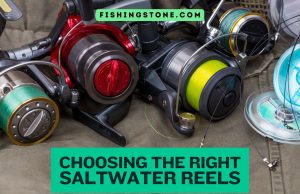 Choosing the Right Saltwater Fishing Reels