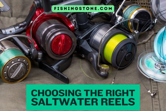 Choosing the Right Saltwater Fishing Reels