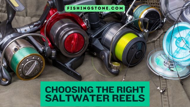 Choosing the Right Saltwater Fishing Reels Choosing the Right Saltwater Fishing Reels