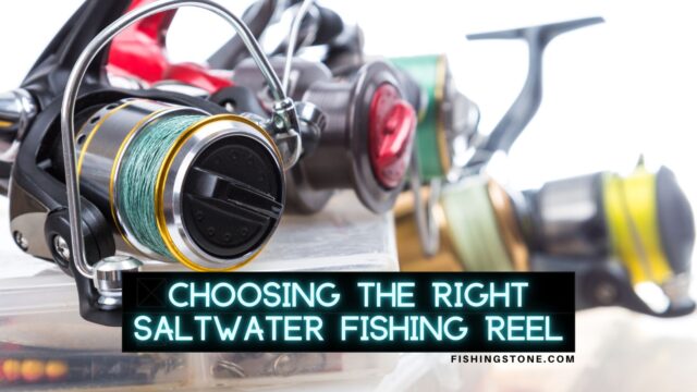 Choosing the Right Saltwater Fishing Reels Fishing Stone